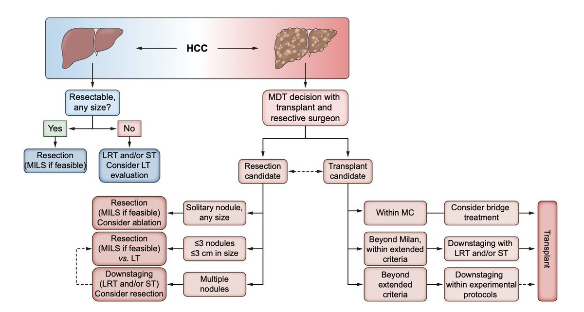 Arndt Vogel (@arndtvogel) on Twitter photo EASL Clinical Practice Guidelines on the management of hepatocellular carcinoma
<a href="/JHepatology/">Journal of Hepatology</a>
doi.org/10.1016/j.jhep…
🔥Get the new guideline for HCC
👉Up to date, very granular recommendations
<a href="/EASLedu/">EASL Education</a> <a href="/myESMO/">ESMO - Eur. Oncology</a> <a href="/ILCAnews/">ILCA</a> #livertwitter EASL Clinical Practice Guidelines on the management of hepatocellular carcinoma
<a href="/JHepatology/">Journal of Hepatology</a>
doi.org/10.1016/j.jhep…
🔥Get the new guideline for HCC
👉Up to date, very granular recommendations
<a href="/EASLedu/">EASL Education</a> <a href="/myESMO/">ESMO - Eur. Oncology</a> <a href="/ILCAnews/">ILCA</a> #livertwitter