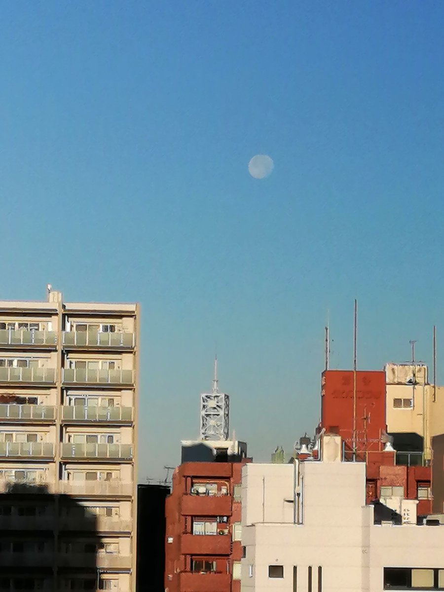 今朝会社のビルから月が見えましたよ😉
思わずパシャリ📷
今日は告知です！２０２６年卒の学生さん向けに職場体験を実施します😄
学生さんで興味のある方は
下記ＵＲＬより覗いてみてください。
x.gd/DEksS

#26卒と繋がりたい 　#メトロ設計　#満月