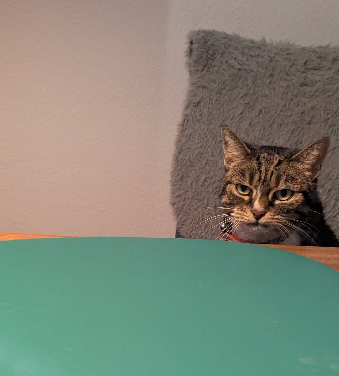 bin nervös glaub mein date mag mich net