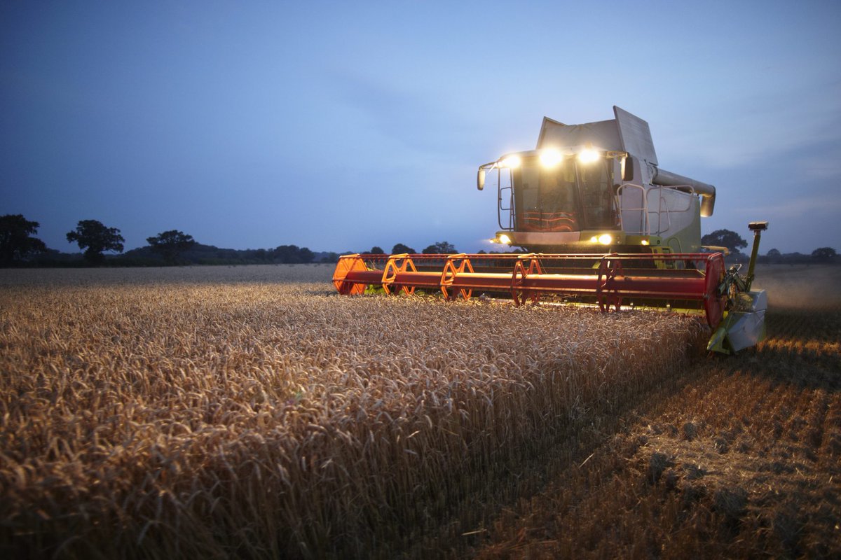 📢[REPORT] Regenerative #agriculture, unleashing #soil superpowers, reducing GHGs, boosting #farm revenue!

Read more: cutt.ly/YeBEdjfp

#Innovation #pesticides #sustainableagriculture