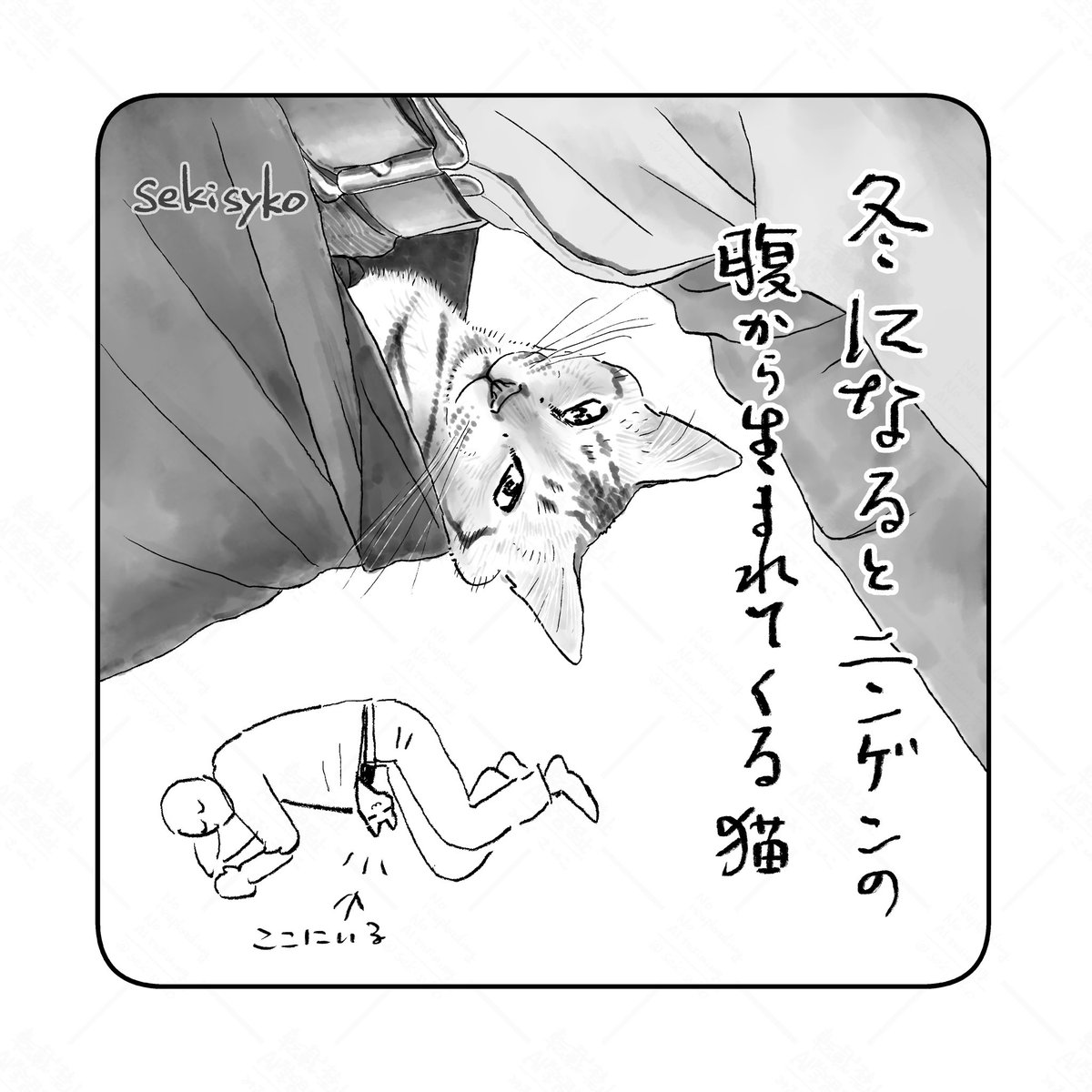 雑日記
うたた寝してるニンゲンの腹からうたた寝してる猫がまろび出る季節
暖かいのと窮屈感がよいらしくシャツの裾から侵入してくる侵入猫。なぜか私ではなく夫の腹部にインする。腹回りがキツいから?ハァ? 