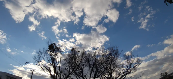 夕方散歩寒気強まってる? 