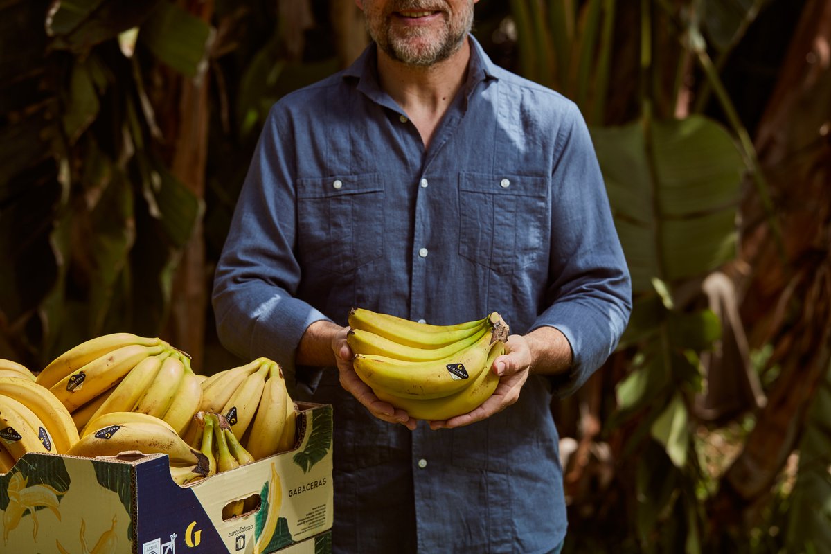 Nuestros agricultores, en #LaPalma, #Tenerife y #ElHierro, dedican su esfuerzo y pasión a cada cultivo para que el mejor plátano de Canarias llegue a tu mesa con la frescura y calidad que nos distingue. #ParaCuidarteMejor #PlátanoGabaceras #ElSaborDeCanarias #ParaCuidarteMejor