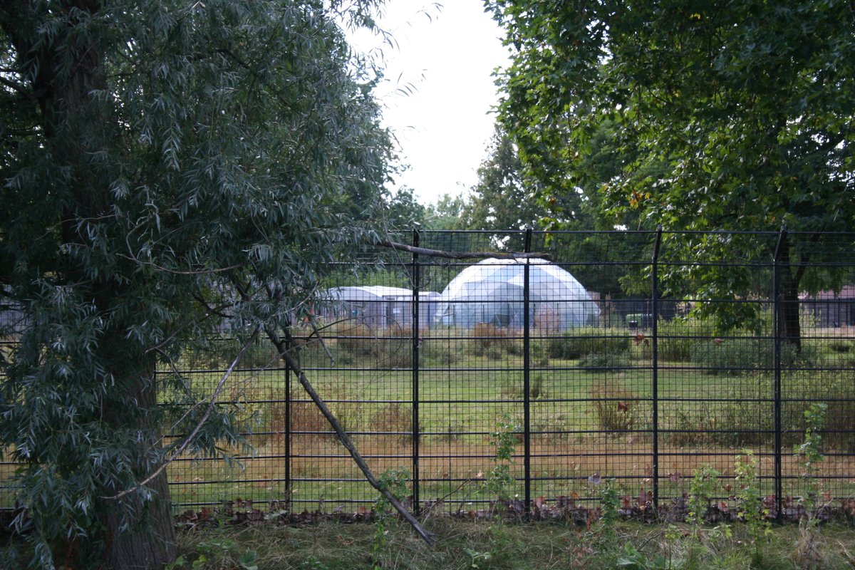 Geoff Nicholson tweet media