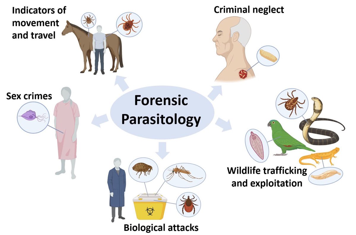 Mackenzie L. Kwak tweet media