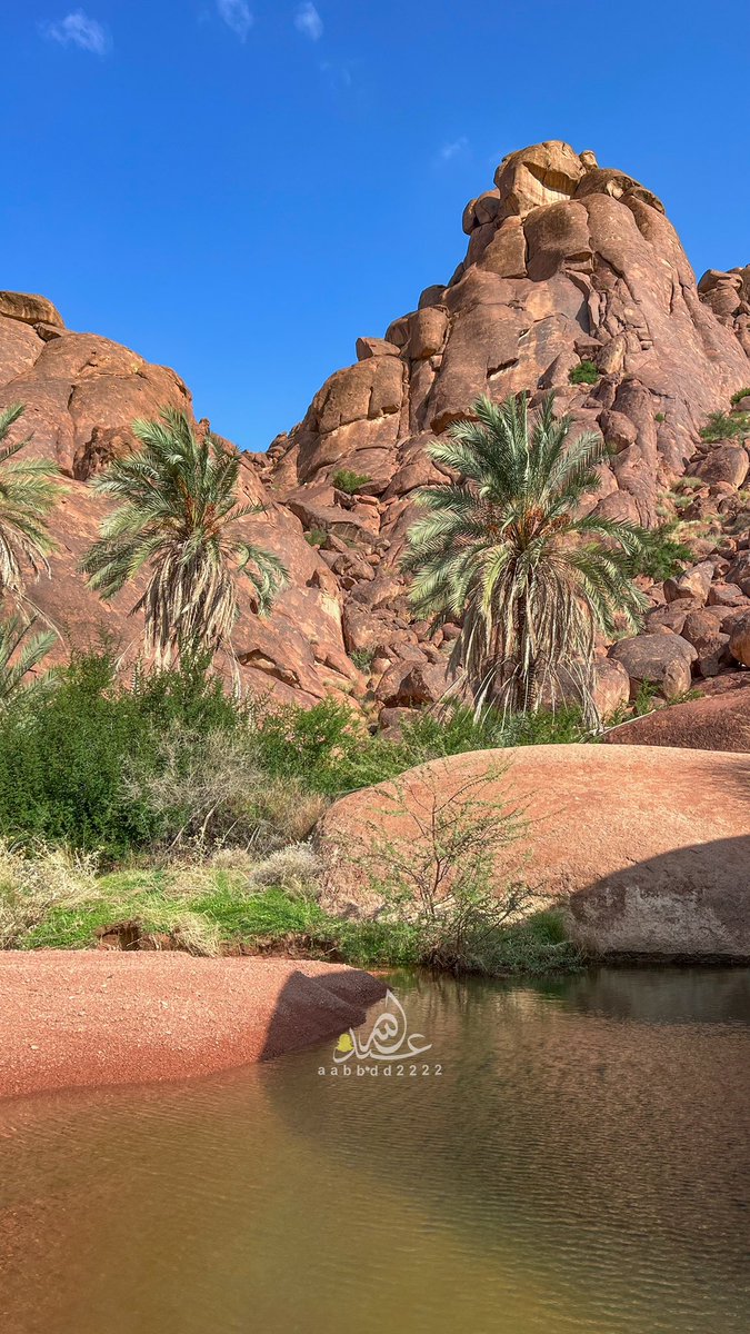 a_s_6868's tweet image. تختلف الاماكن ويختلف الوقت وتبقى #حائل_الأجمل 

@emara_hail 
@Amanat_Hail 
@HailTourism_med 
@HRDA_HAIL 

#المملكة_العربية_السعودية #السعودية #حائل #يوم_التاسيس #جبال #شتاء_حائل #طبيعة #سياحة