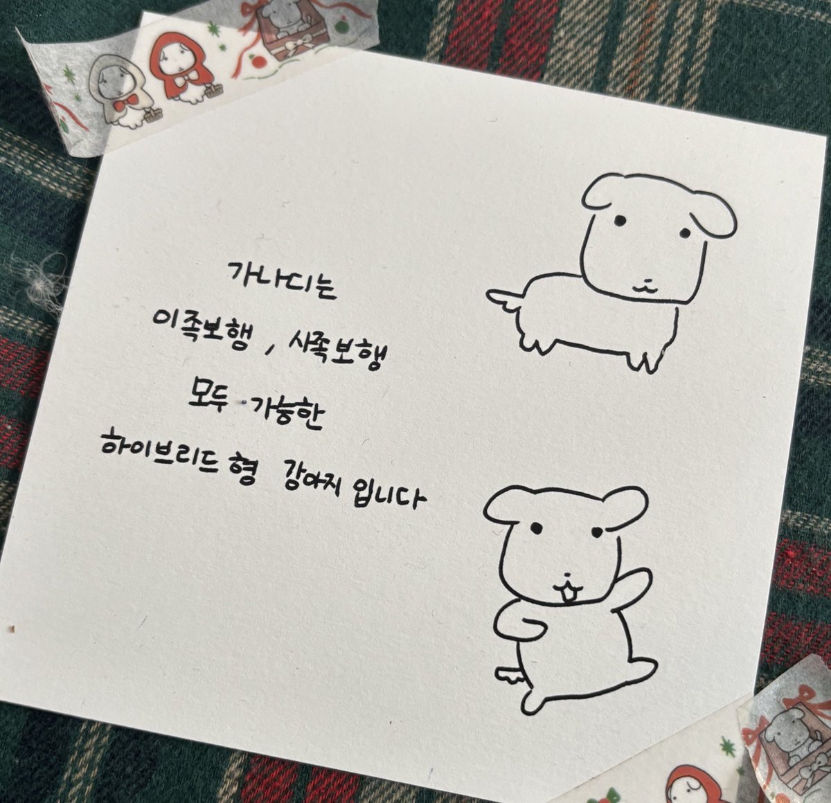 RuDa_ru_'s tweet photo. 가나디는 하이브리드형 강아지야…🐶 https://t.co/dEPzhAUsP4