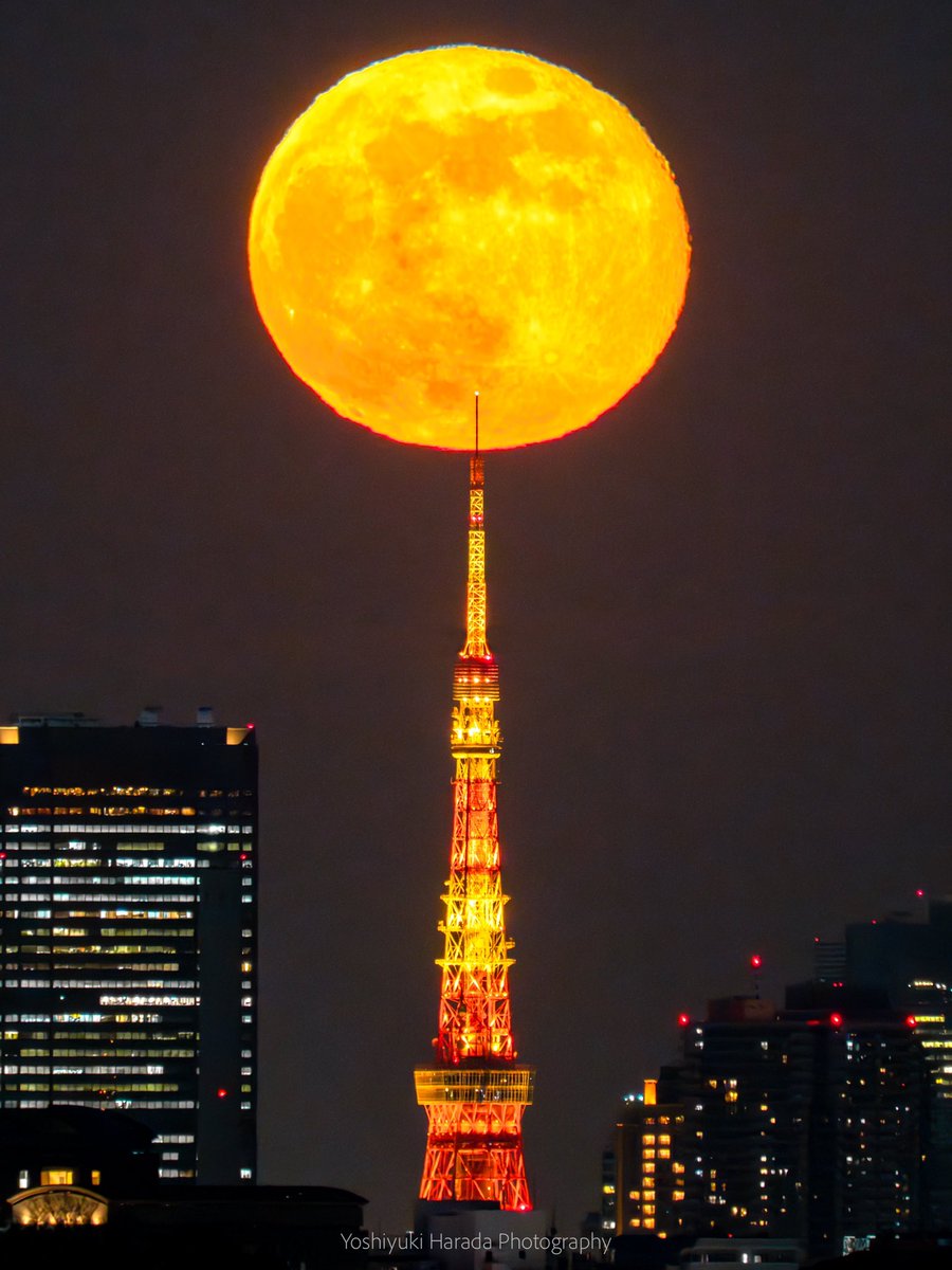 東京タワーにブッ刺さる！

（※合成ではありません）