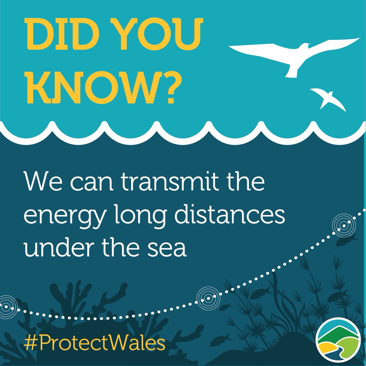 Did you know? We can transmit the energy long distances under sea.

#ProtectWales