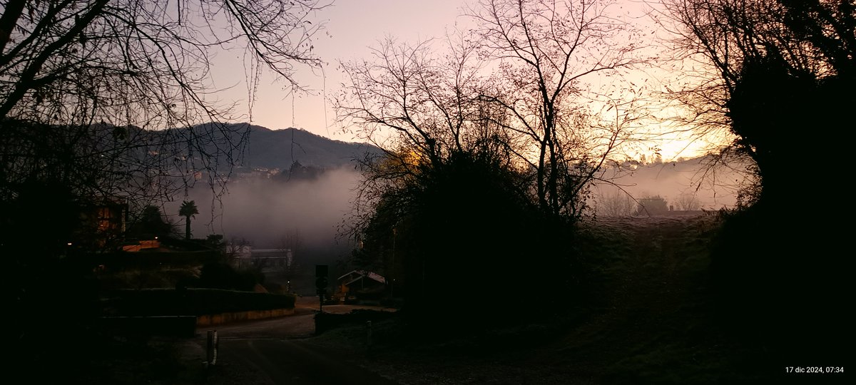 luigifoschini's tweet image. #runningtime
#iocorroqui