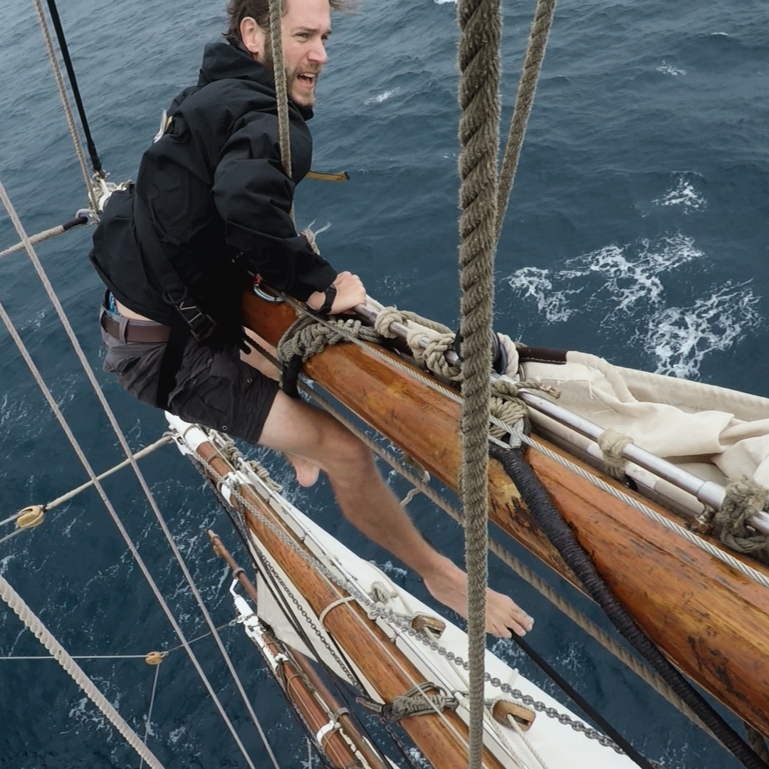 James M Levelle tweet media