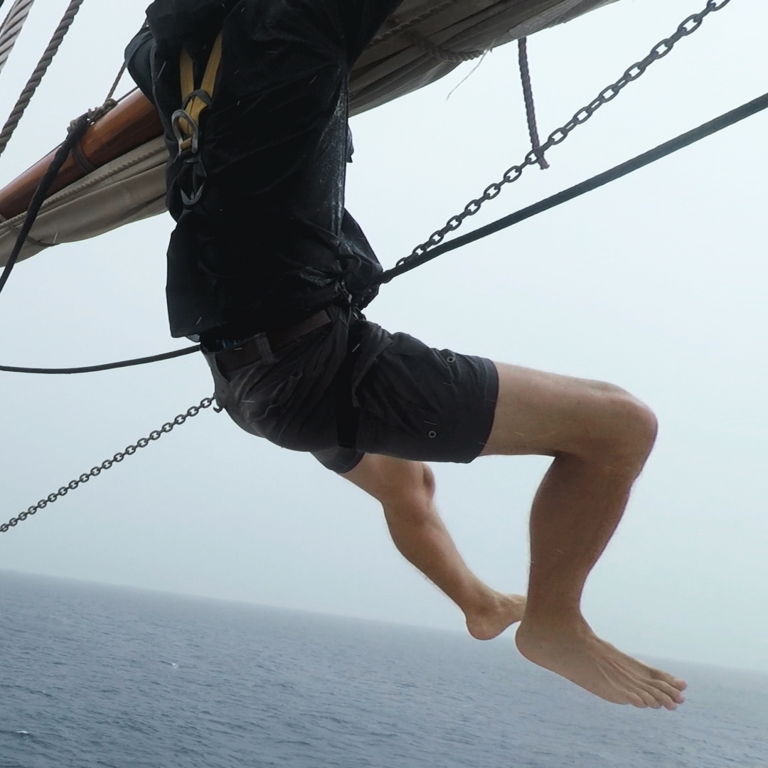 James M Levelle tweet media