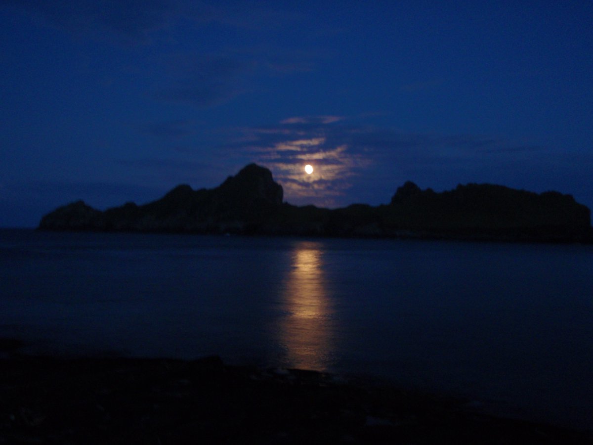 Happy winter solstice - that's the days getting longer now but still plenty time to coorie in by the fire
