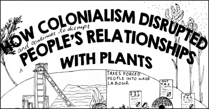 SARChI Bio-economy Research Chair tweet media