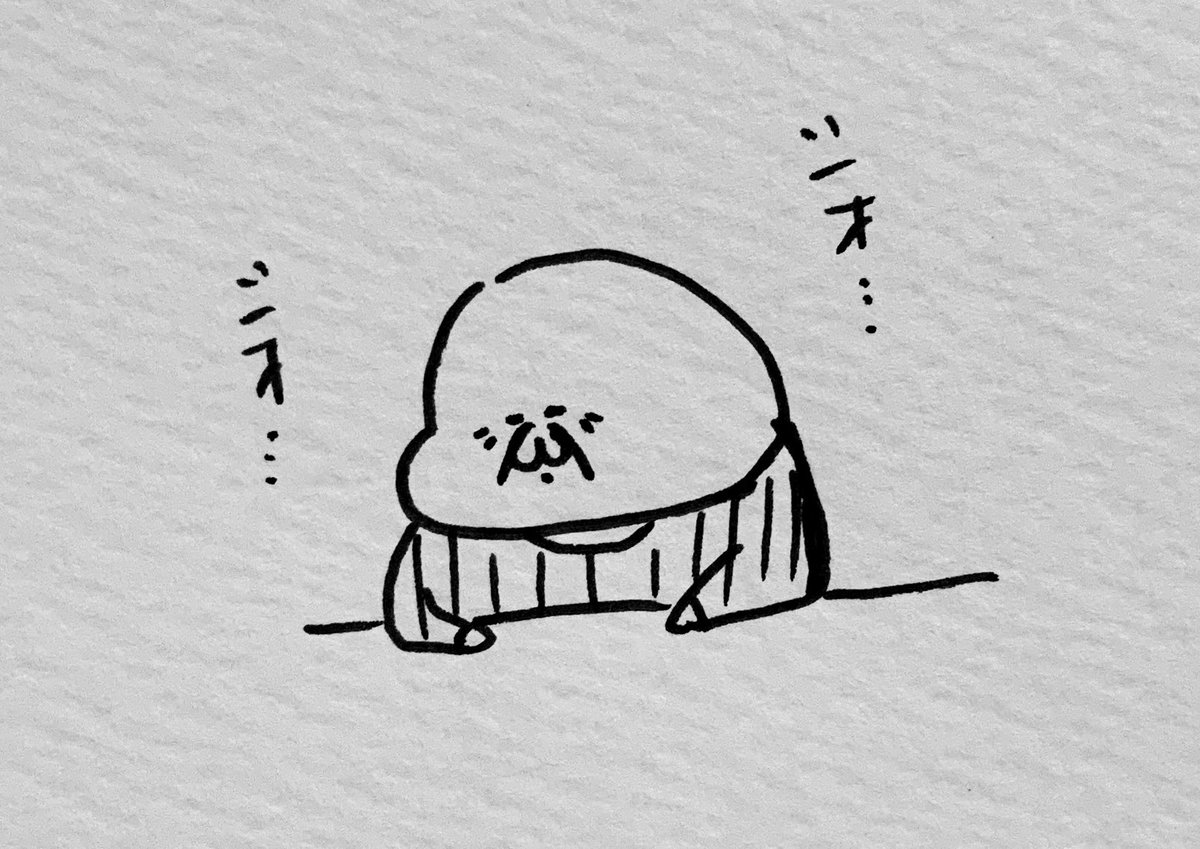 あと2回は歯医者に通う事になった… 
