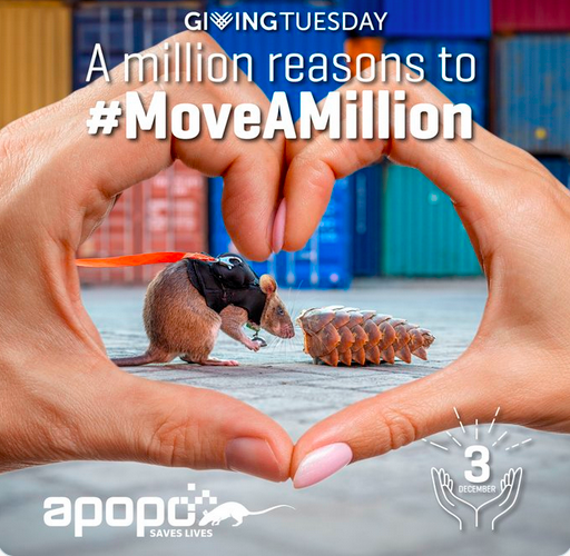 msabine900's tweet photo. It's #DonationTime! The joy of giving!
I've just donated to:
- @bats_ukraine, Ukraine's iconic bat conservation organisation
- my local NABU @naturschutzbund #Mannheim's bat group
- the local animal food bank
- APOPO @herorats (I love them!)
- @razomforukraine https://t.co/D71kd9eQG9