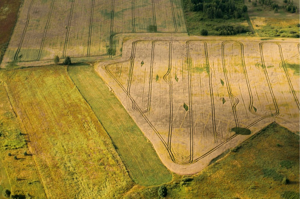 4Growth Project (@4growthproject) on Twitter photo 🌾 Our #MeetOurObservatories series takes us to Eastern Europe!
📊 Discover how <a href="/AgriFoodDIH_LTU/">AgriFood Lithuania DIH</a> leads this #4Growth Observatory, driving digital technology adoption in #Lithuania, #Poland, & #Hungary to empower farmers & innovators: 4growth-project.eu/agriculture/na…
#DigitalFarming 🌾 Our #MeetOurObservatories series takes us to Eastern Europe!
📊 Discover how <a href="/AgriFoodDIH_LTU/">AgriFood Lithuania DIH</a> leads this #4Growth Observatory, driving digital technology adoption in #Lithuania, #Poland, & #Hungary to empower farmers & innovators: 4growth-project.eu/agriculture/na…
#DigitalFarming
