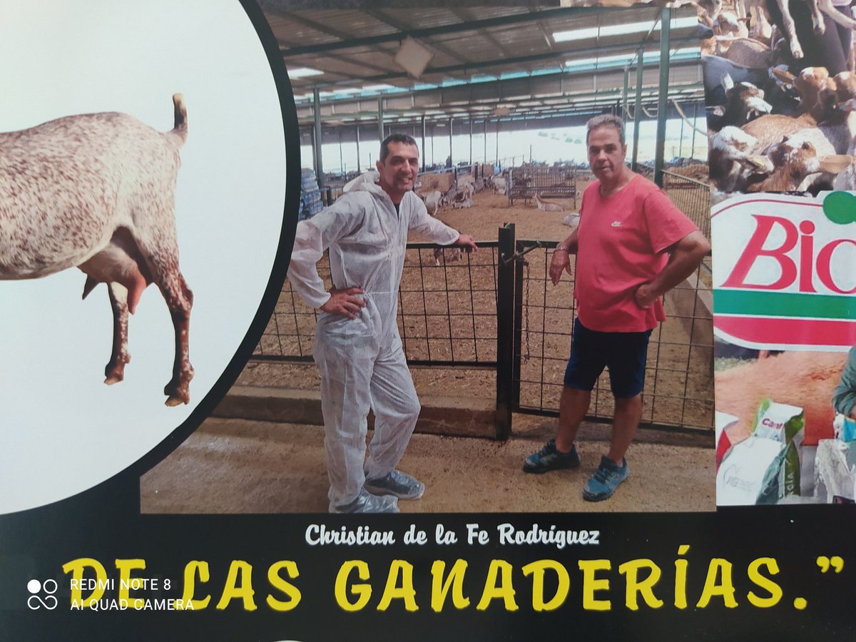 Christian de la Fe (@health_sherlock) on Twitter photo Que detallazo de los compañeros de <a href="/ACRIFLOR/">ACRIFLOR</a> ! En la <a href="/UMU/">Universidad Murcia</a> siempre estaremos defendiendo la Sanidad y nuestro sector primario. Fundamental para nuestro país. Gracias de corazón!
<a href="/colvetmur/">@ColVetMur</a> <a href="/UMU/">Universidad Murcia</a> <a href="/UMUdivulga/">UMU Divulga</a> Que detallazo de los compañeros de <a href="/ACRIFLOR/">ACRIFLOR</a> ! En la <a href="/UMU/">Universidad Murcia</a> siempre estaremos defendiendo la Sanidad y nuestro sector primario. Fundamental para nuestro país. Gracias de corazón!
<a href="/colvetmur/">@ColVetMur</a> <a href="/UMU/">Universidad Murcia</a> <a href="/UMUdivulga/">UMU Divulga</a>