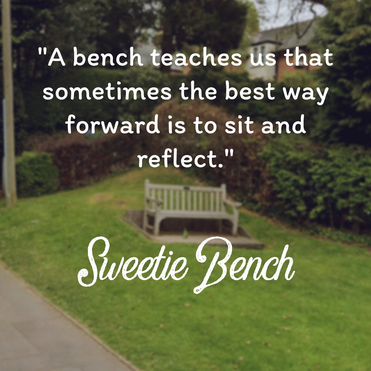 Sweetie Bench (@SweetieBench) / Posts / X