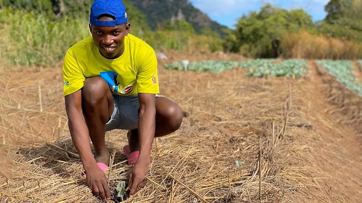 🌎How can land investments drive sustainable development?
💡The Risk-Reward Model (RRM) helps map economic, social, and environmental risks and rewards, empowering smarter decisions for governments and investors.
🔍Discover this locally-led innovation 👉 lnkd.in/e6FdJZ-5