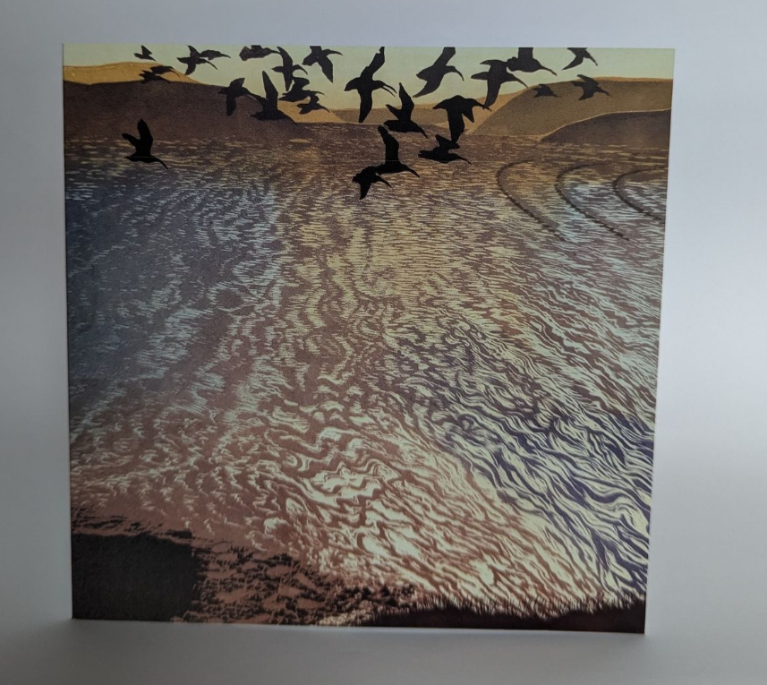 Anyone's Child: Families for Safer Drug Control tweet media