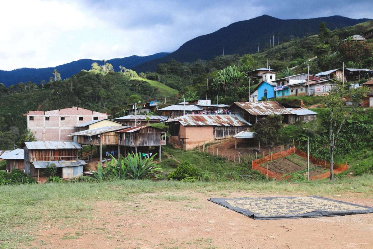 A supply chain in Peru illustrates the challenges of monitoring carbon emissions of coffee production with the aim of achieving net zero  | Environmental Conservation | Cambridge Core - bit.ly/3OIPWK