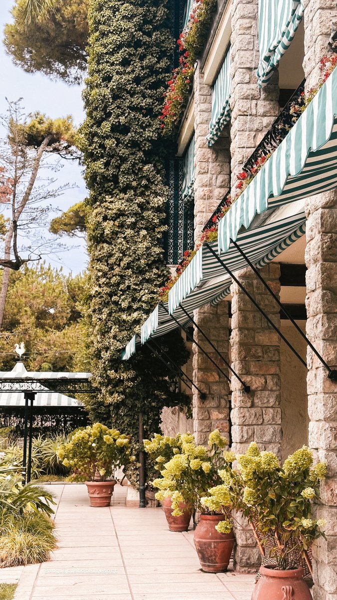 Staying at the Augustus Hotel &amp; Resort is no ordinary experience; it is an invitation to immerse yourself in a realm of serenity and well-being. Here, you’ll feel the warmth of home.

#AugustusHotelResort #LuxuryLifestyle #FortedeiMarmi