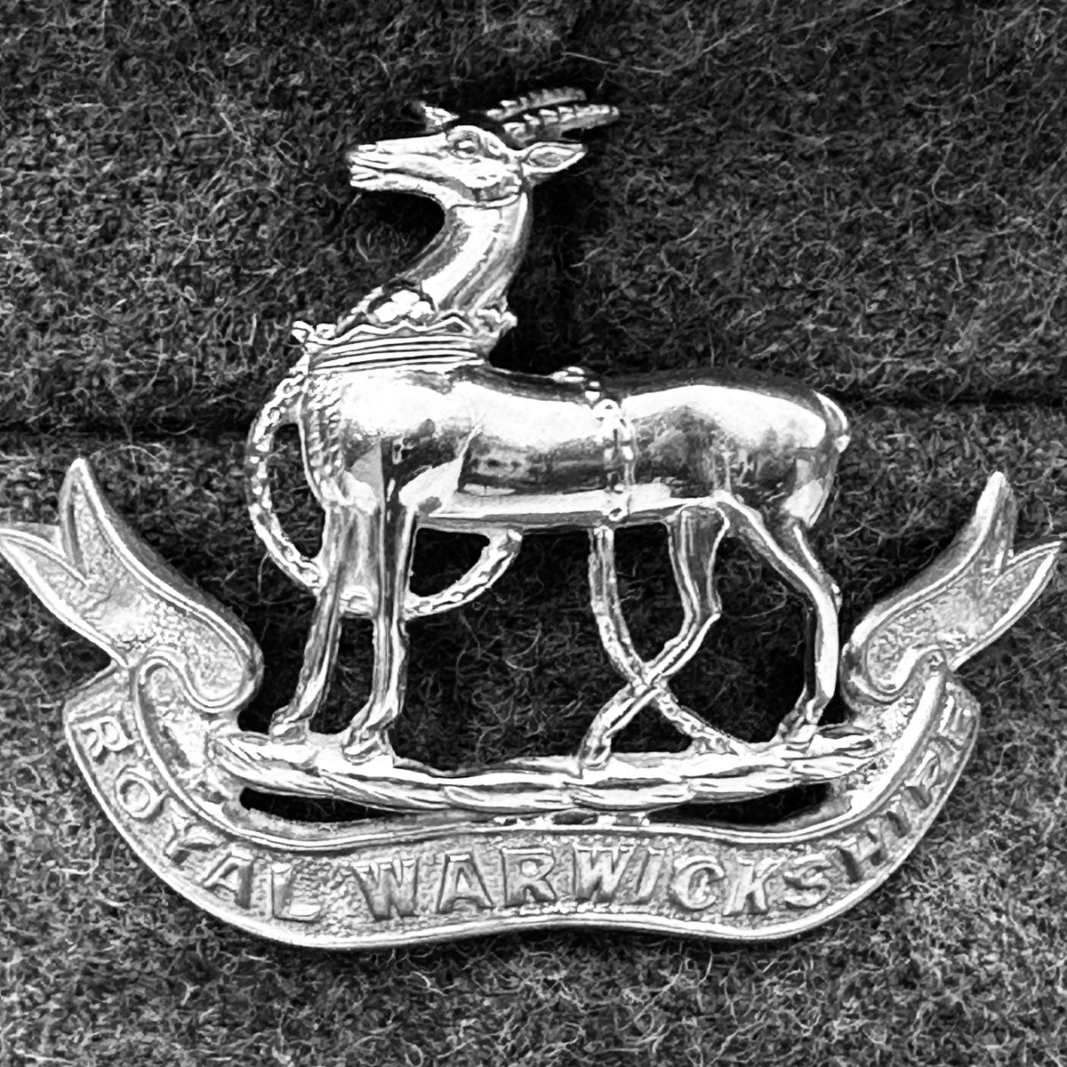 Frontline LH tweet media