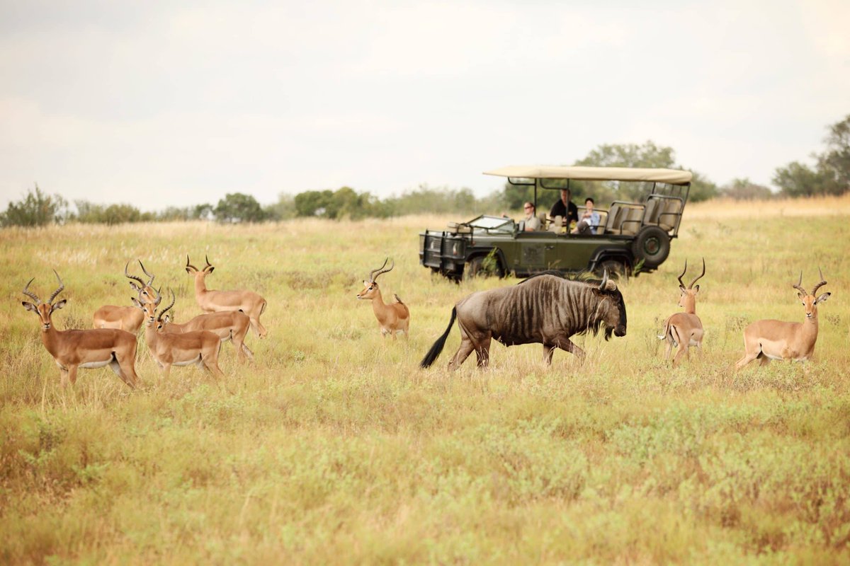 Does one of your #2025resolutions include sustainable luxury travel? #KerDowneyAfrica proposes Luxury #Africantravel, bringing you closer to the local population and immersing you in incredible experiences. Ask for the PR #journorequest #luxurysafari #sustainabletravel