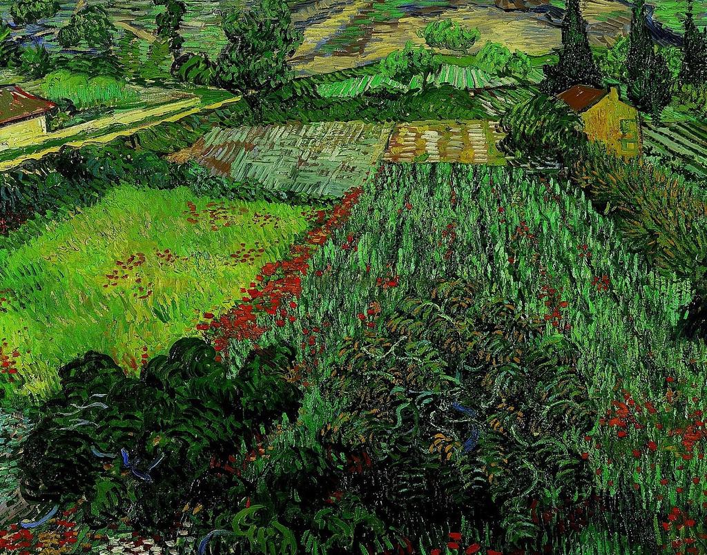 Van Gogh, Field with poppies