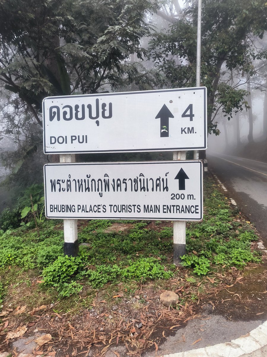 paper_punch's tweet photo. 17ธันวาคม2567
วิ่งขึ้นดอยเป็นปีที่สามติดต่อกัน แต่ครั้งนี้ตั้งใจจะขึ้นไปให้ถึง #บ้านพ่อ พระตำหนักภูพิงค์ราชนิเวศน์ 
เช้านี้อากาศหนาว รถเยอะ หมอกลงจัดแต่ก็วิ่งมาถึงพระตำหนักฯได้สำเร็จ คงจะเป็นครั้งสุดท้ายแล้วที่จะขึ้นมา อายุใกล้60แล้ว และได้ทำสิ่งที่ตั้งใจไว้ได้แล้วครับ https://t.co/OWs0y0RJY9