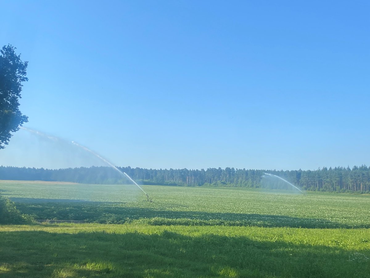 WEBINAR: Effizient bewässern &amp; Pflanzengesundheit sichern! 🌱💧
Am 30.01.2025 (16-18 Uhr) erklärt Mark Mitschke (Kartoffelanbau Heilbronn e.V.) wie man Bewässerung und Düngemanagement optimiert.

Infos &amp; Anmeldung: q-s-akademie.de/kursangebot/ku…

#Kartoffelanbau #Pflanzengesundheit