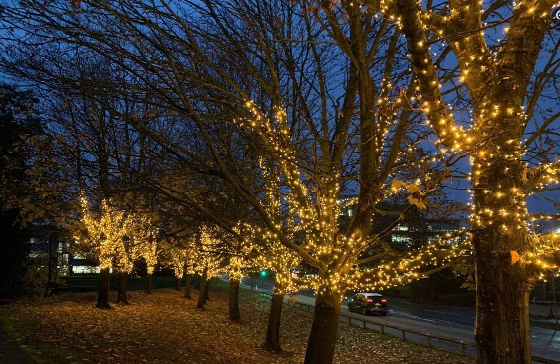 pfbbuk's tweet image. ✨ @BracknellBID's seasonal lighting is back, brightening Farleymoor Lake this winter! 🌟 Building on last year’s success, the lights enhance safety and beautify the area—practical and stunning! 👏 Great work, Bracknell BID! #BracknellBID #CommunityImprovement #SeasonalLighting