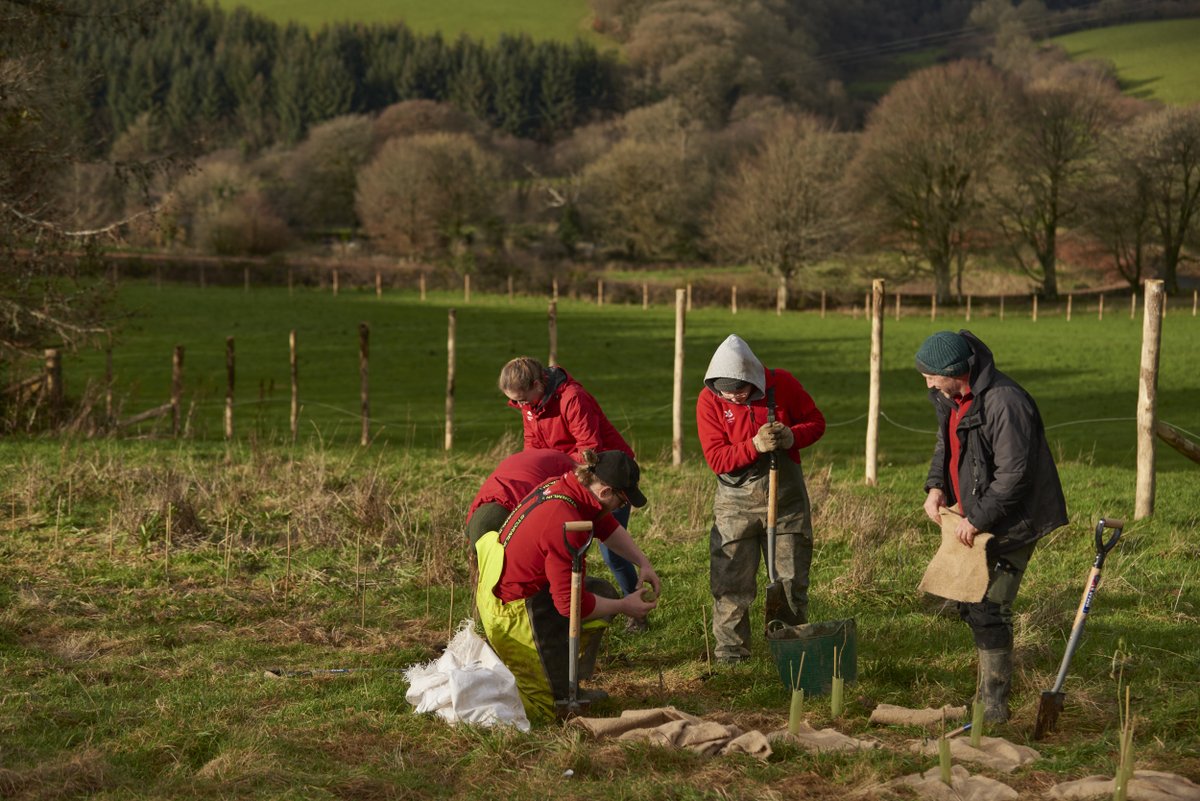 Looking for a post-Christmas activity?🌳Join us on Monday 30 Dec, 10 am - 3 pm, for a tree planting day🌱 Plant native trees &amp; visit them in years to come. 

👉 Details: bit.ly/PublicTreePlan…