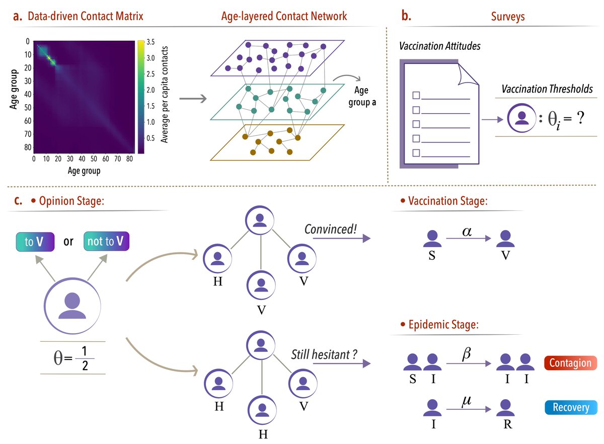Last of 2024: "Interplay of epidemic spreading and vaccine uptake under complex social contagion"(arxiv.org/abs/2412.11766). We investigate the interaction between disease dynamics (simple contagion) &amp; vaccine uptake (complex contagion). Results show a rich phase space.