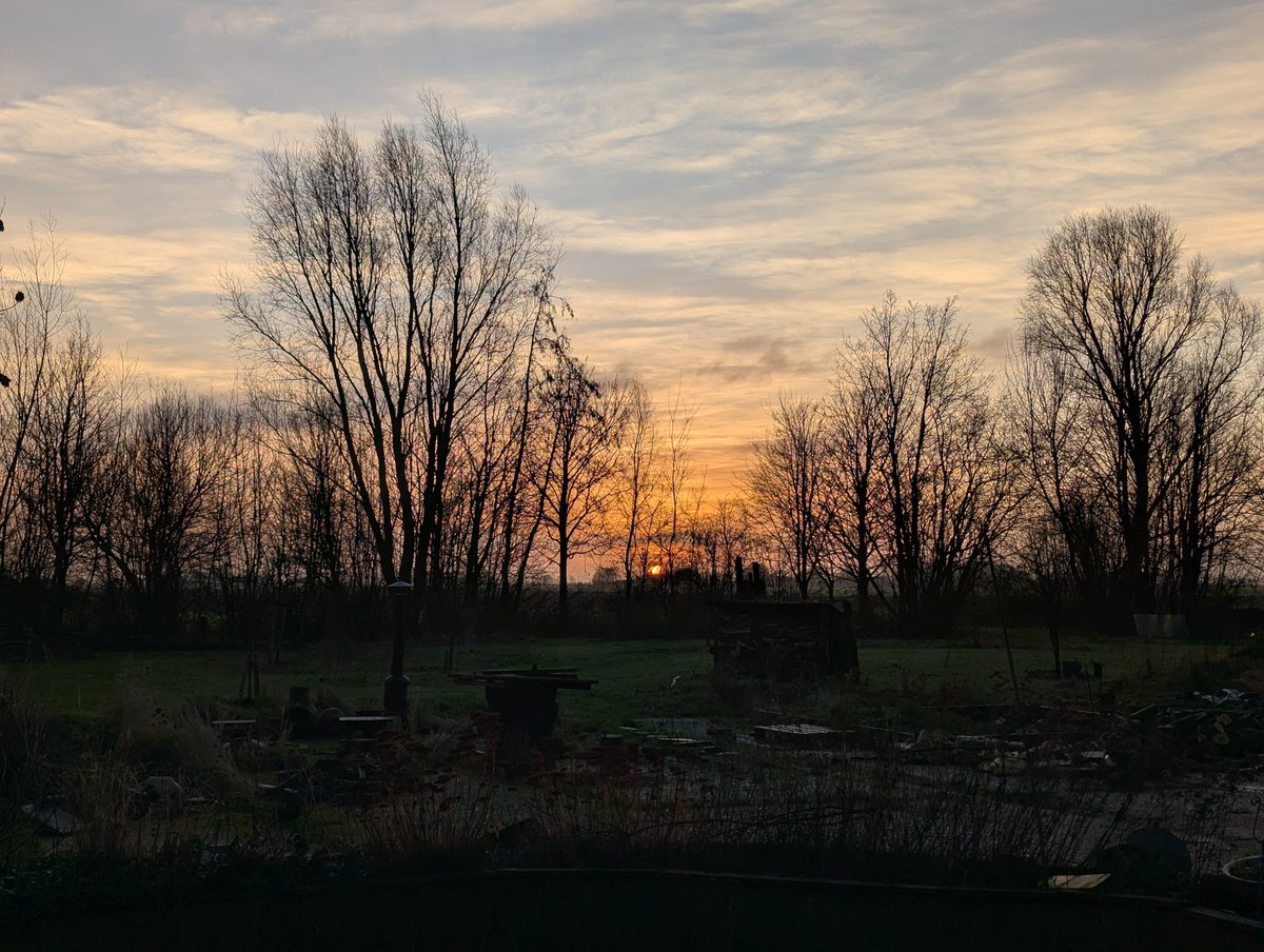 Halfambt tweet media