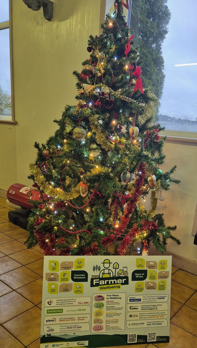 Finola Colgan tweet media