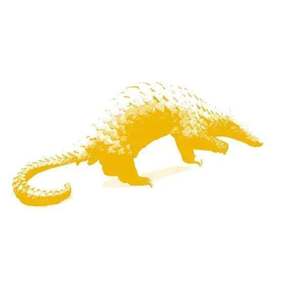 Call for Proposals!

The Rainforest Reporting Grant, by <a href="/pulitzercenter/">Pulitzer Center</a>, provides short-term, project-based funding support to journalists who want to report on tropical rainforests in three key regions, including Central Africa.

Deadline: Rolling. twp.ai/1KjpU6