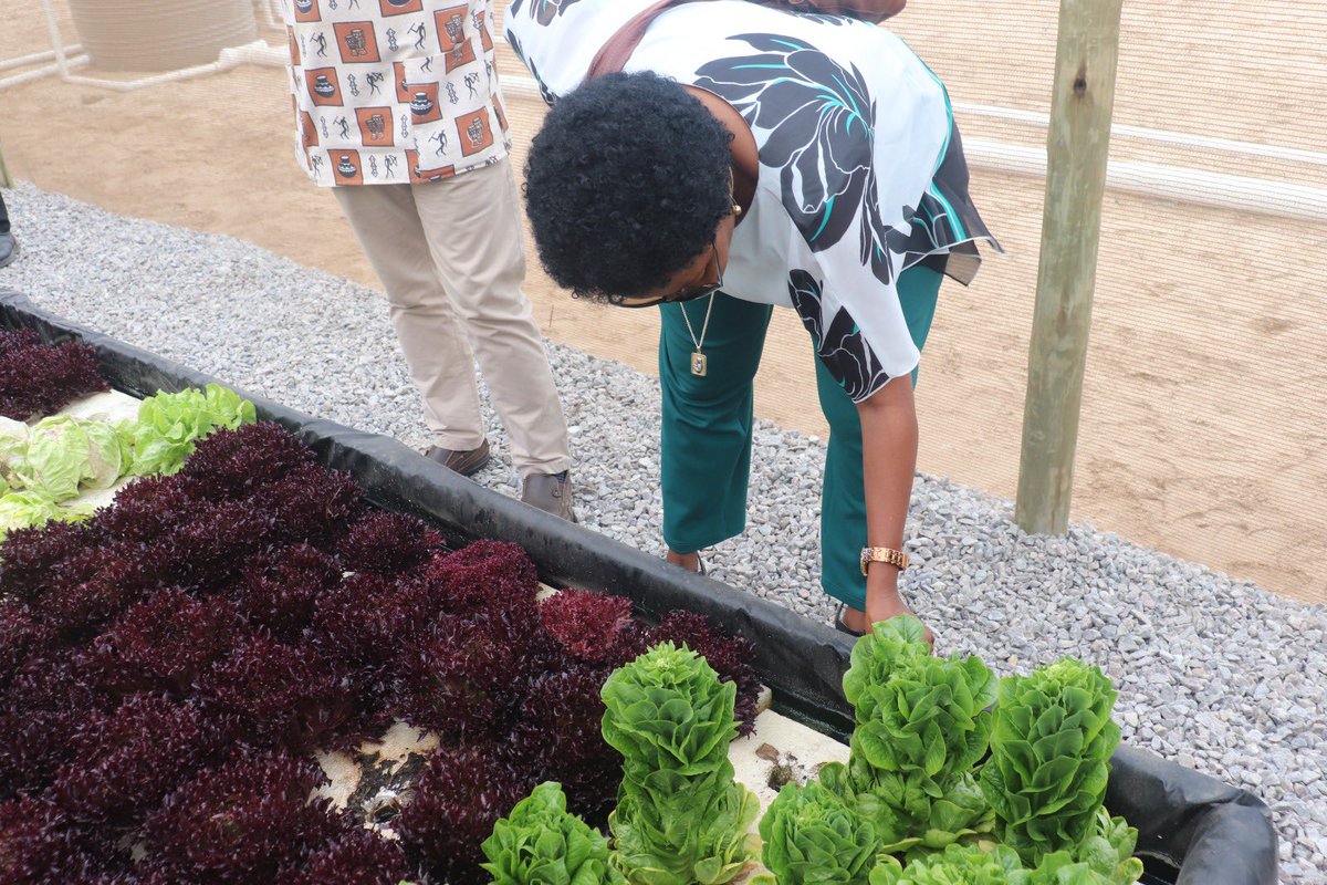 Ministry of Fisheries & Marine Resources, Namibia tweet media