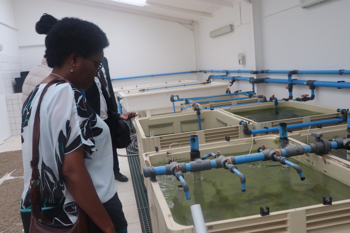 Ministry of Fisheries & Marine Resources, Namibia tweet media