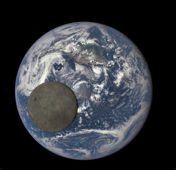 ejdaggers tweet media