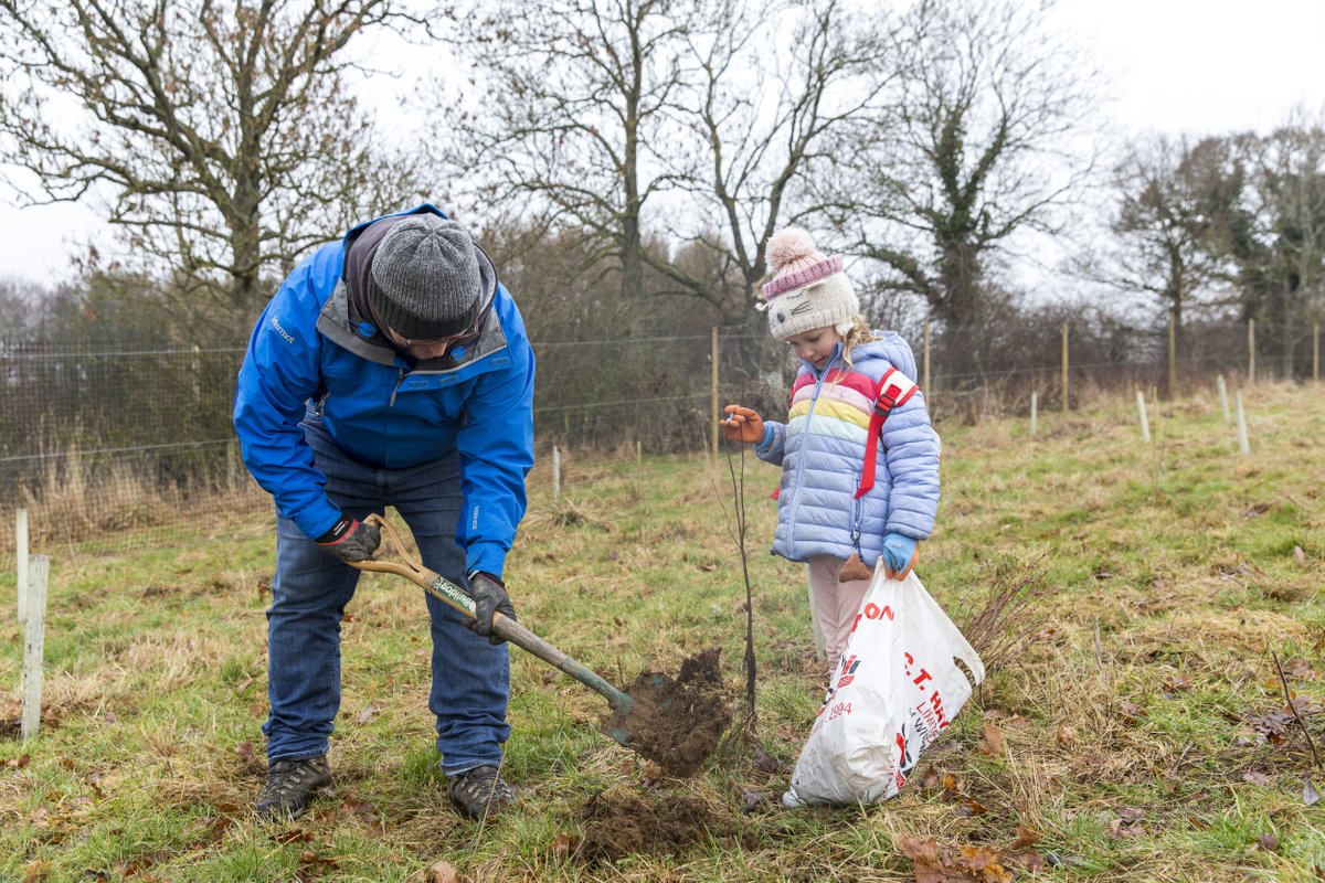 Looking for something to do this twixmas?

Join us on Monday 30 December, 10am - 3pm, for a public tree planting day. Plant a few trees or many, it all makes a difference🌱

👉 Find out more here: bit.ly/PublicTreePlan…
📸NTI/Annapurna Mellor