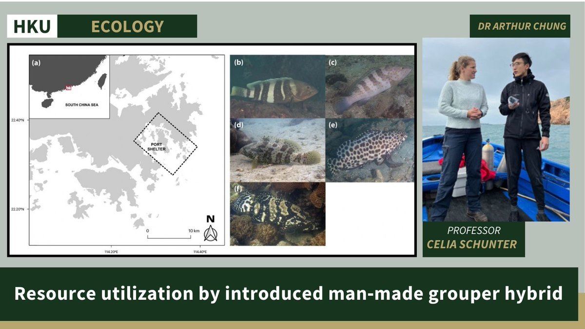 Invasive species are one the greatest threats to #biodiversity. The problem may be made worse if hybrids are involved because they are artificially selected in captivity for fast growth, resilience and wide dietary requirements. Little is known about the scale of the threat that
