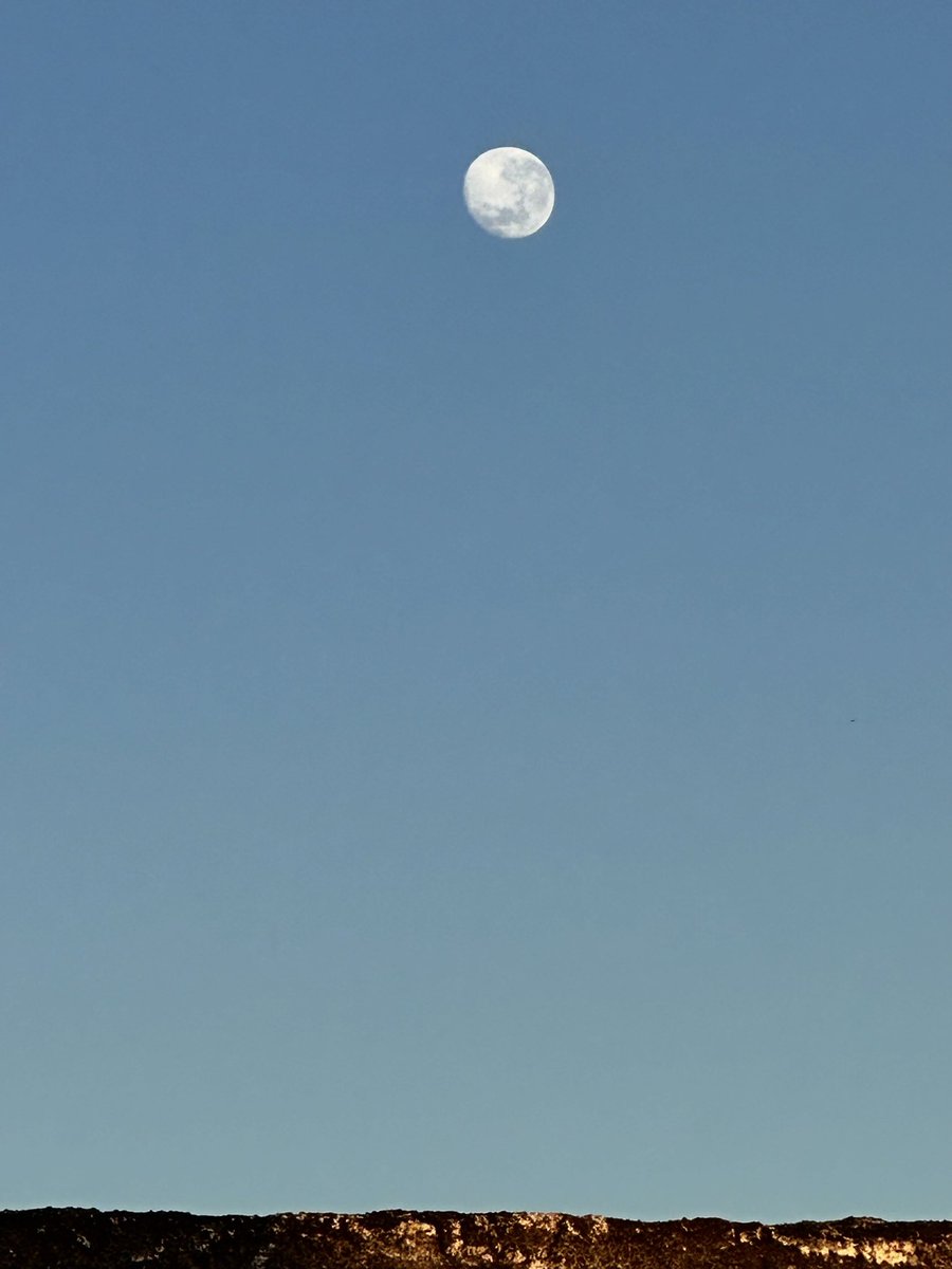 Elisa Corazza (@elisa_corazza) on Twitter photo 5:28 AM , el 🌞 y la 🌕, ambos con una misma intensidad. El sol resplandeciente en ese escenario de amarillo de olas y mar y la luna muy nítida en fondo celeste. Una belleza!!!
<a href="/Uruguay_Natural/">Uruguay Natural</a> <a href="/TurismoRocha/">Turismo Rocha</a> <a href="/submintur/">Subsecretaría de Turismo 2020-2025</a>
Costa Azul - La Paloma Rocha 🇺🇾 5:28 AM , el 🌞 y la 🌕, ambos con una misma intensidad. El sol resplandeciente en ese escenario de amarillo de olas y mar y la luna muy nítida en fondo celeste. Una belleza!!!
<a href="/Uruguay_Natural/">Uruguay Natural</a> <a href="/TurismoRocha/">Turismo Rocha</a> <a href="/submintur/">Subsecretaría de Turismo 2020-2025</a>
Costa Azul - La Paloma Rocha 🇺🇾