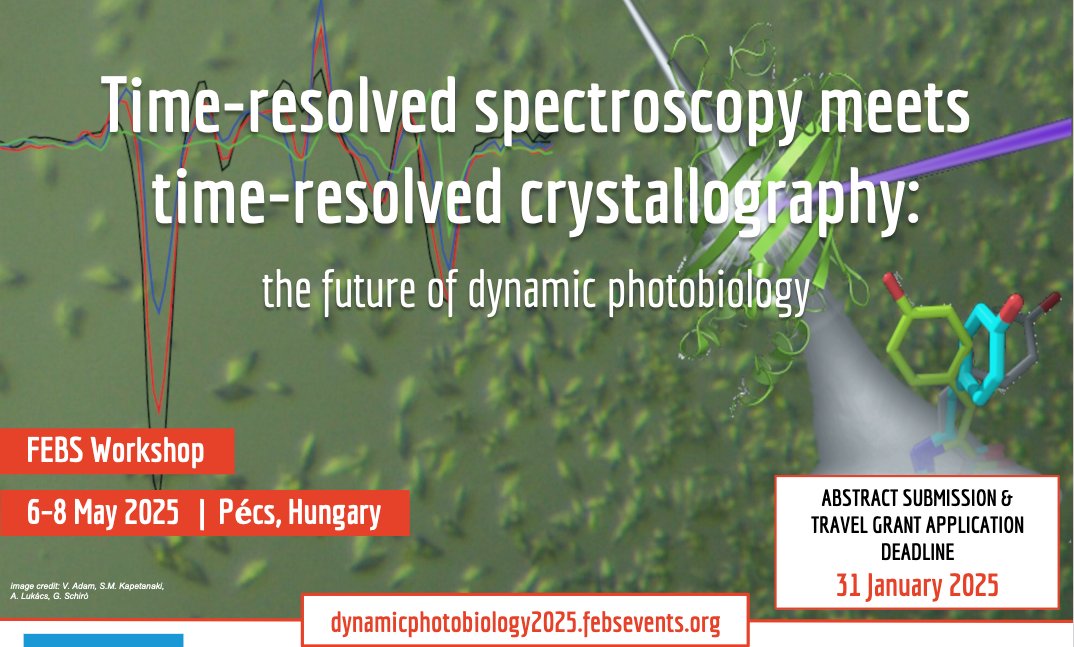 📢 Workshop announcement: The FEBS <a href="/FEBSnews/">FEBS</a>  Workshop on Dynamic #Photobiology will take place on May 6-8, 2025 in Pécs, Hungary. 🚨 Abstract submission deadline: 31st January 2025. More info at: dynamicphotobiology2025.febsevents.org