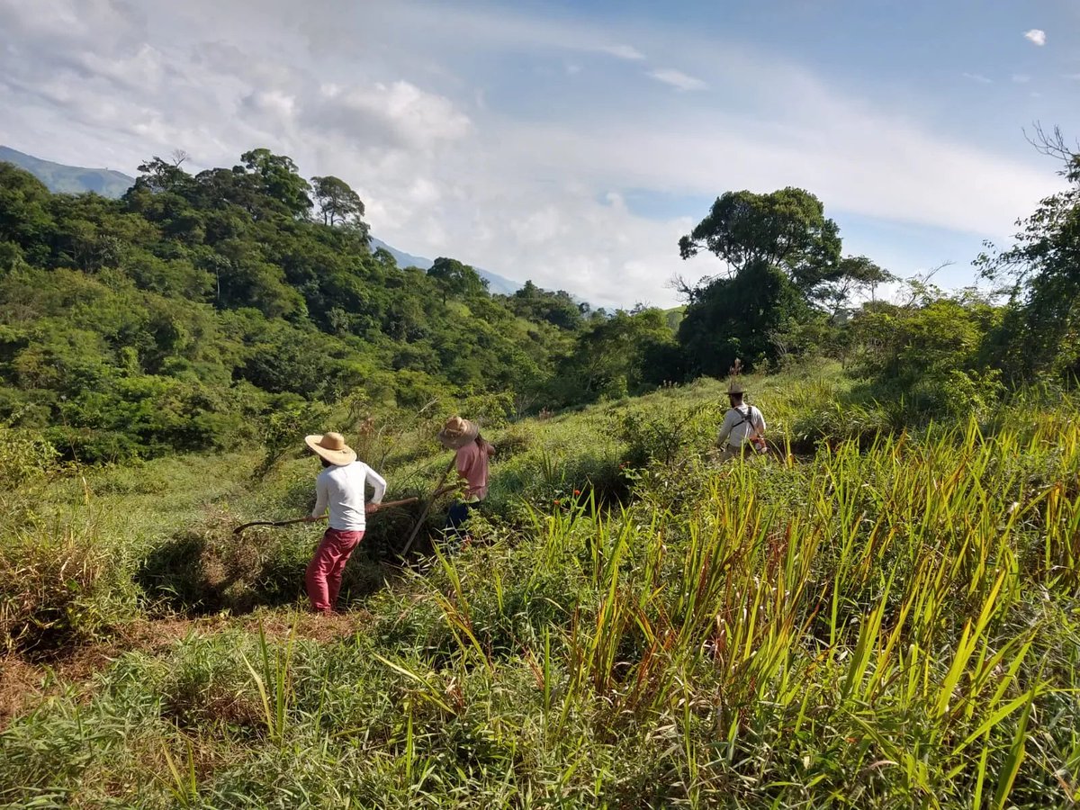 10. Vale dos Alecrins
Vale dos Alecrins is a collective property in MG where eight families wish to live in harmony. The land has 30 ha and makes up one of the most significant areas of Atlantic forest in the region and was explored as a charcoal factory in the 1970s.
