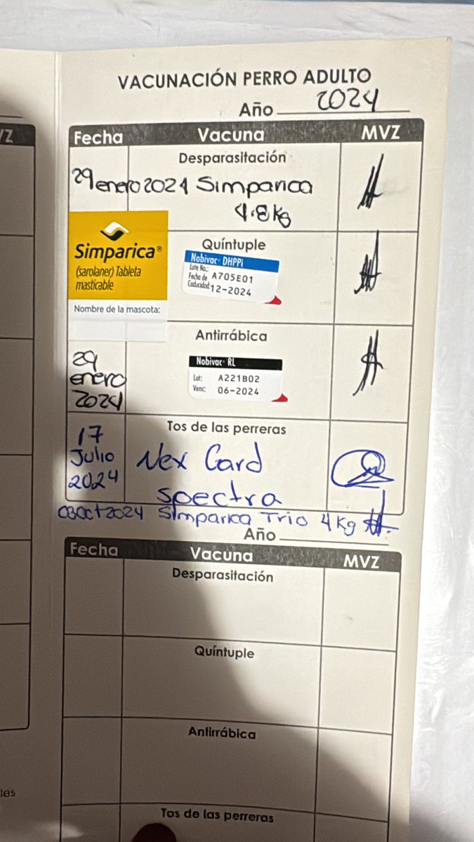 Ma. Fabiola Hernández Herrera tweet media