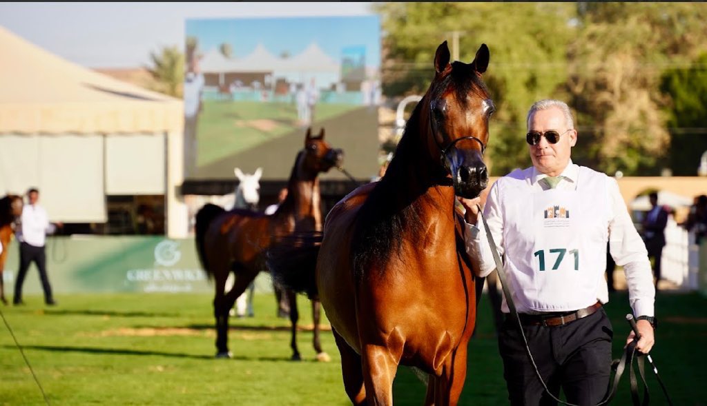 phcksu's tweet photo. توثيق جمال الخيل العربي الأصيل بعدسات إبداعية من أعضاء نادي التصوير الضوئي في جامعة الملك سعود ، يعكس شغفهم واهتمامهم بالفن والتصوير،
شكرًا لكل من ساهم في إبراز هذه اللحظات المميزة شكراً لاعضائنا المبدعين. https://t.co/D6x6YnUsjr