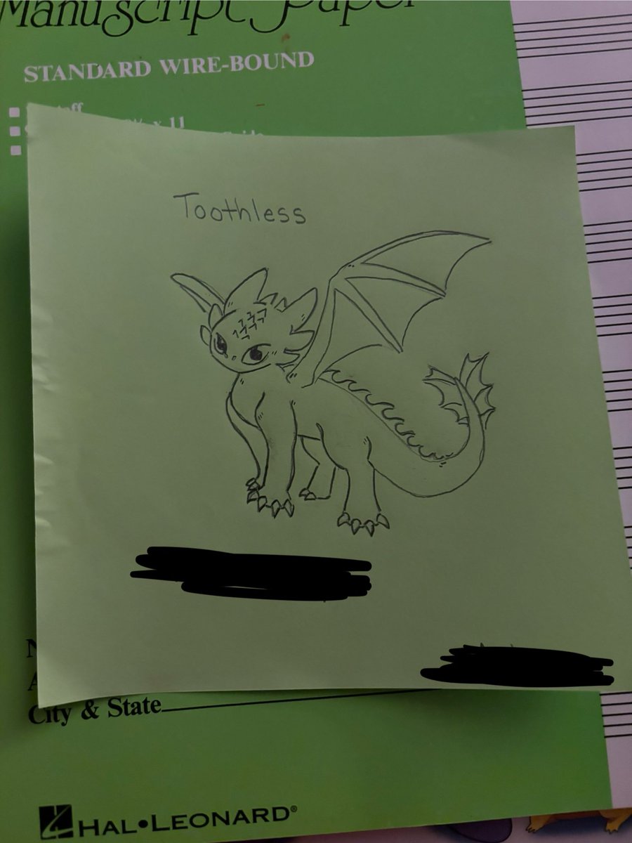 Doing some drawings in cards for students this week. Not normally stuff I draw lol They love how to train your dragon!