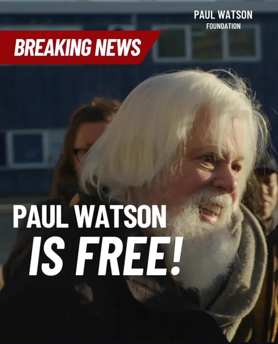 Image from Captain Paul Watson Foundation 🐋🏴☠️ (@CaptPaulWatson)